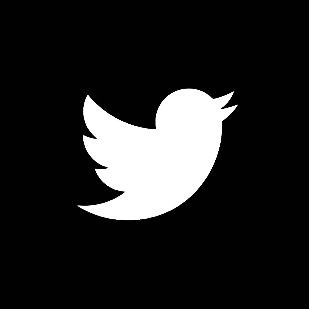 twitter logo