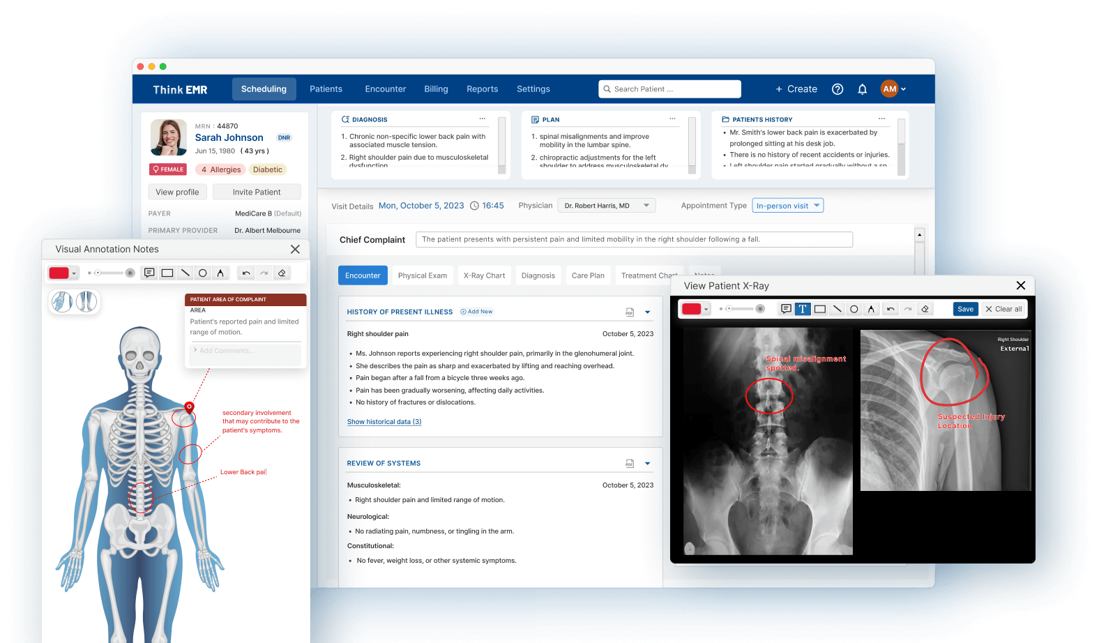 Orthopedic banner image