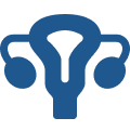 Gynaecology Icon